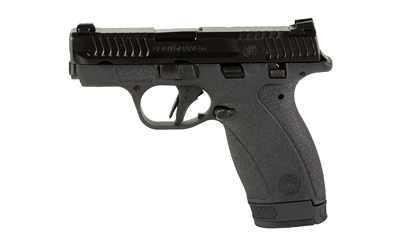 S&W BDYGRD 2.0 380ACP 2.75" 12RD TS