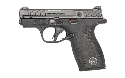 S&W BDYGRD 2.0 380ACP 2.75" 12RD NTS