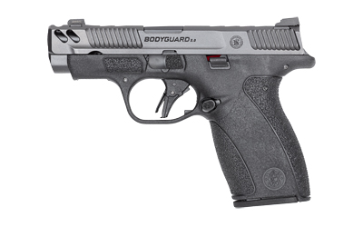 S&W BODYGRD 2 CC 380ACP 3.1 12RD NTS