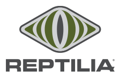 Reptilia